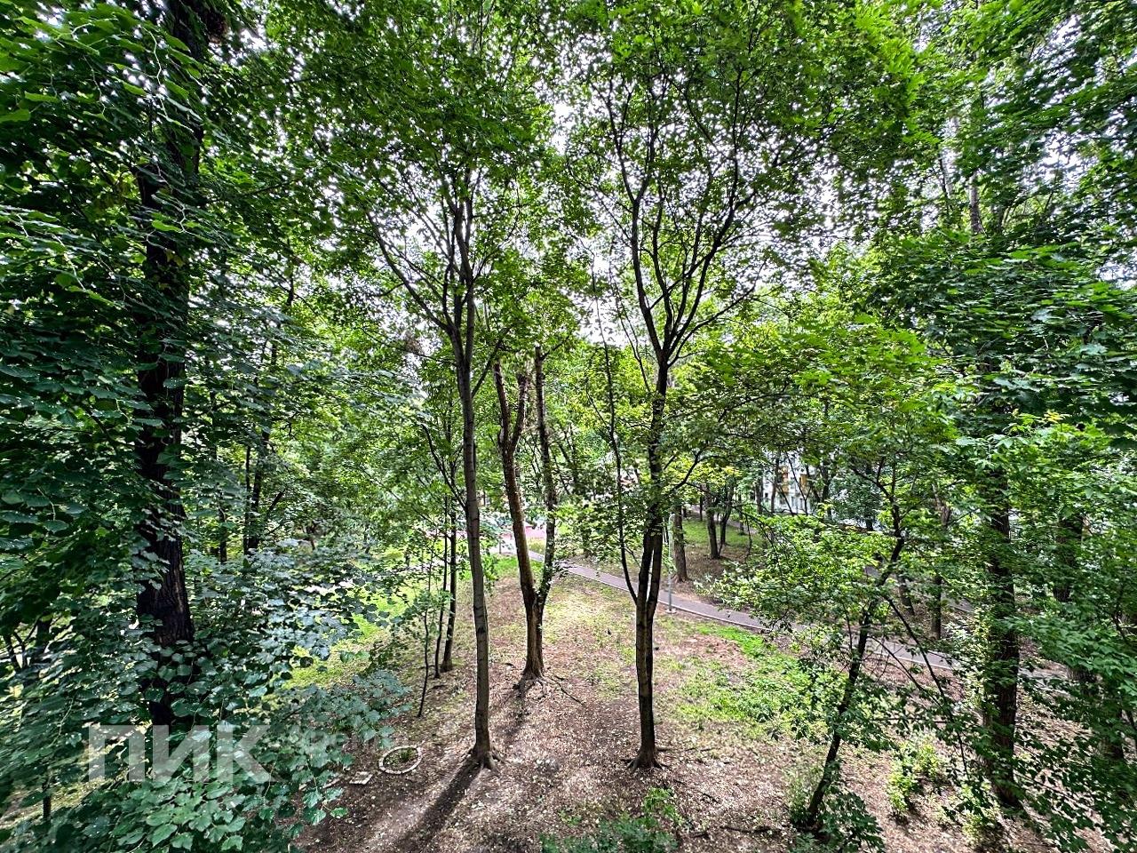 1-к. квартира, 29.9 м², 55 000 ₽/мес — фото № 12 1-к. квартира, 29.9 м², 55 000 ₽/мес — фото № 12