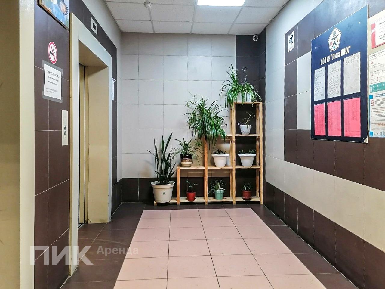 студия, 24.2 м², 43 900 ₽/мес — фото № 11 студия, 24.2 м², 43 900 ₽/мес — фото № 11