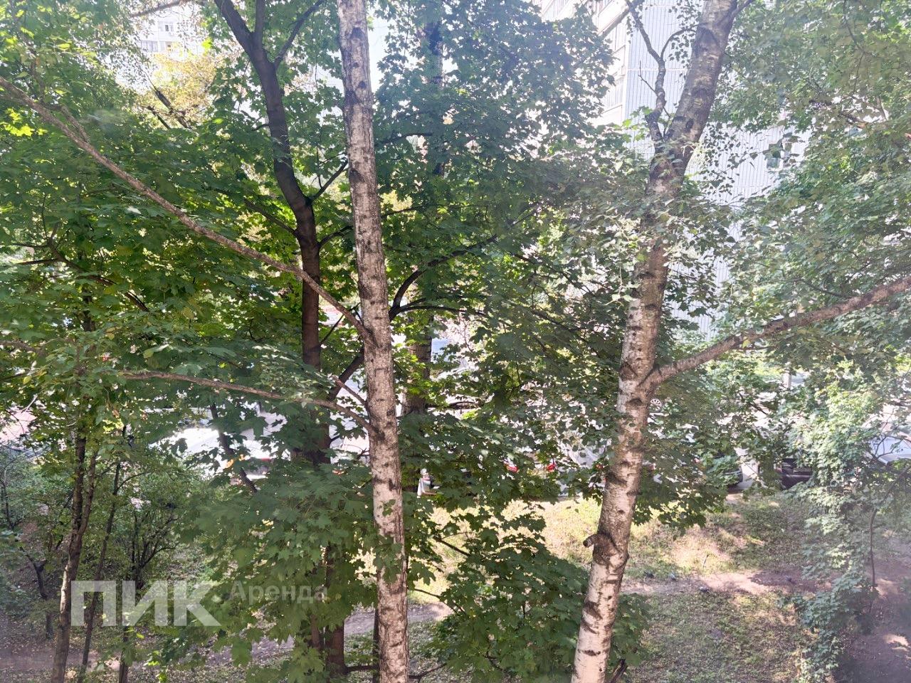 1-к. квартира, 27.2 м², 54 900 ₽/мес — фото № 12 1-к. квартира, 27.2 м², 54 900 ₽/мес — фото № 12