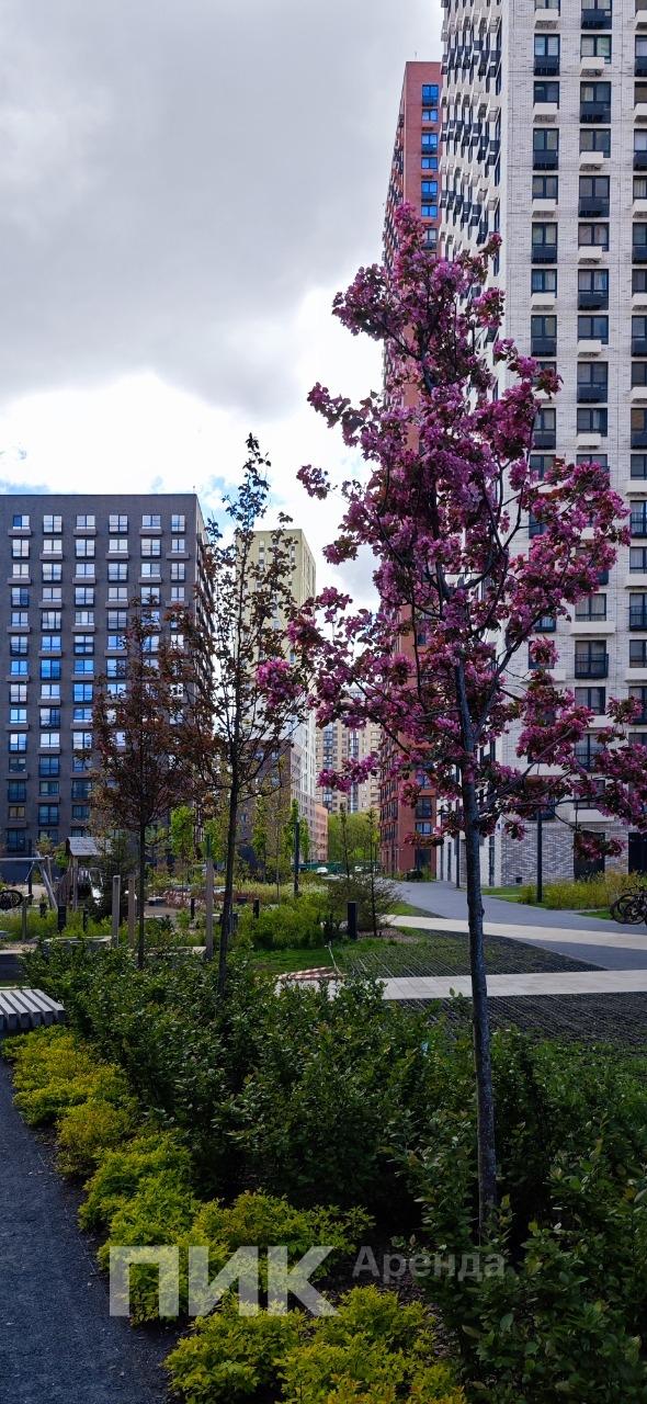 2-к. квартира, 71 м², 166 900 ₽/мес — фото № 29 2-к. квартира, 71 м², 166 900 ₽/мес — фото № 29