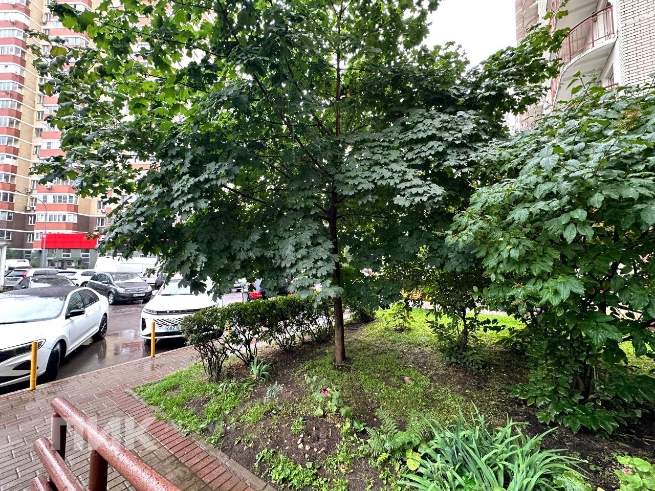 2-к. квартира, 38.6 м², 54 900 ₽/мес — фото № 18 2-к. квартира, 38.6 м², 54 900 ₽/мес — фото № 18