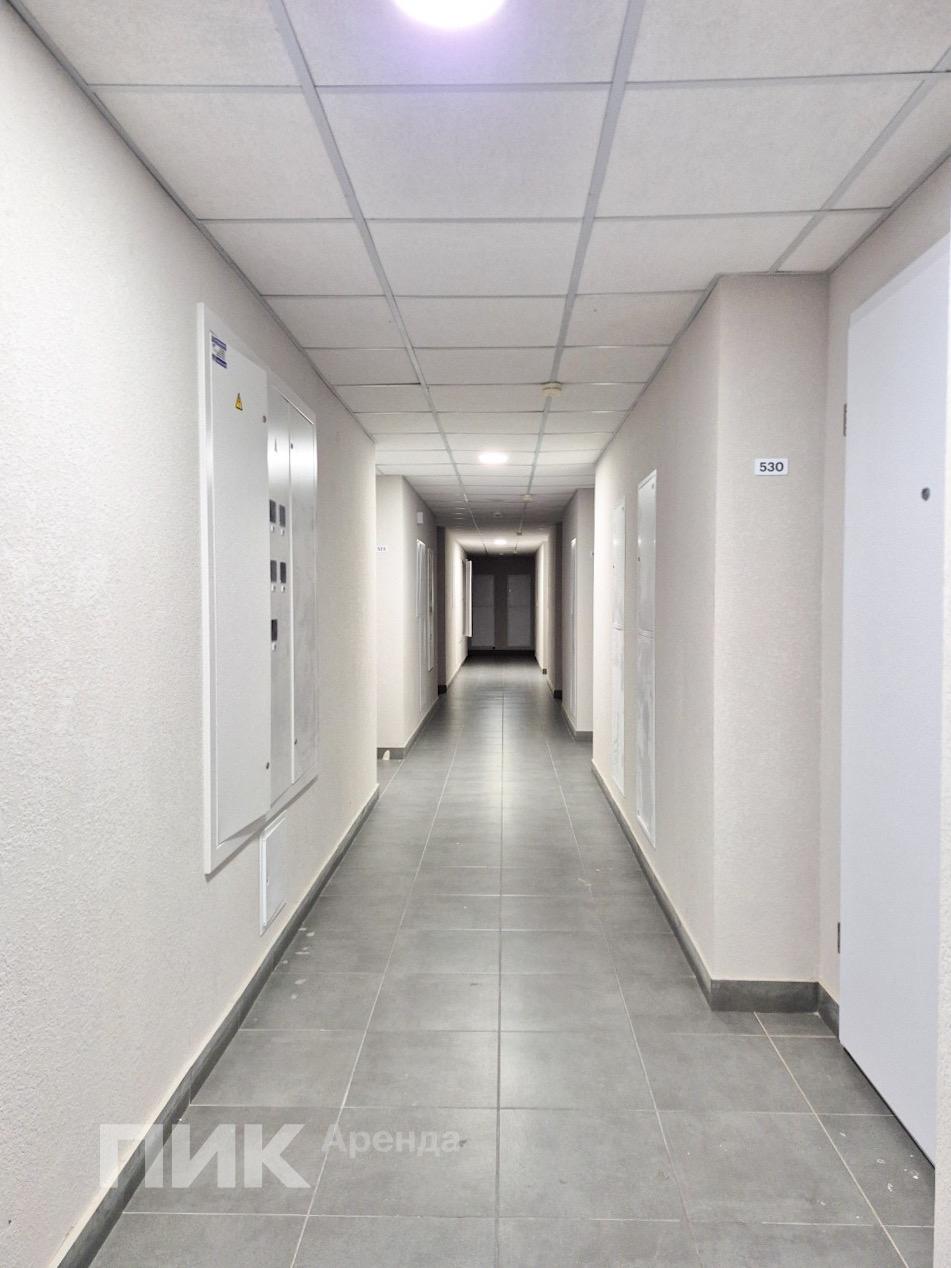 1-к. квартира, 19.7 м², 55 200 ₽/мес — фото № 10 1-к. квартира, 19.7 м², 55 200 ₽/мес — фото № 10