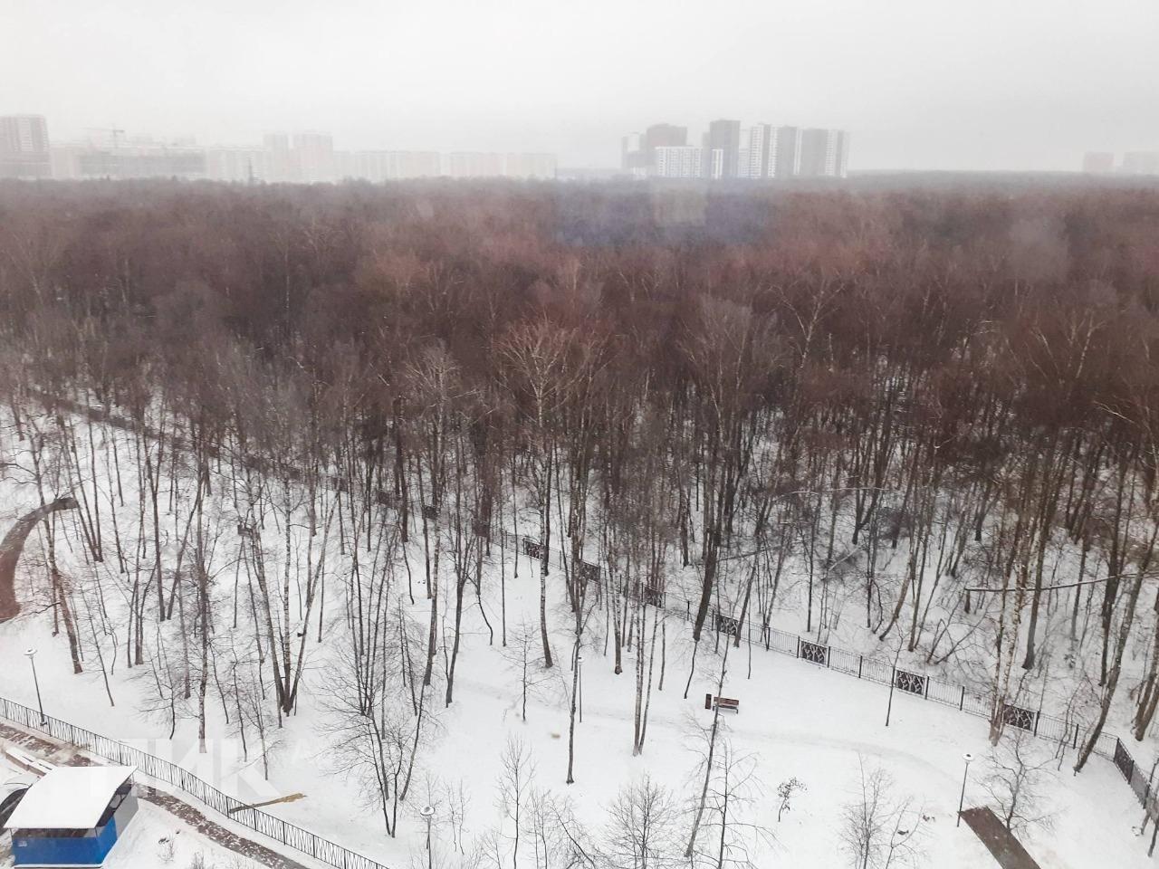 студия, 22 м², 57 300 ₽/мес — фото № 13 студия, 22 м², 57 300 ₽/мес — фото № 13