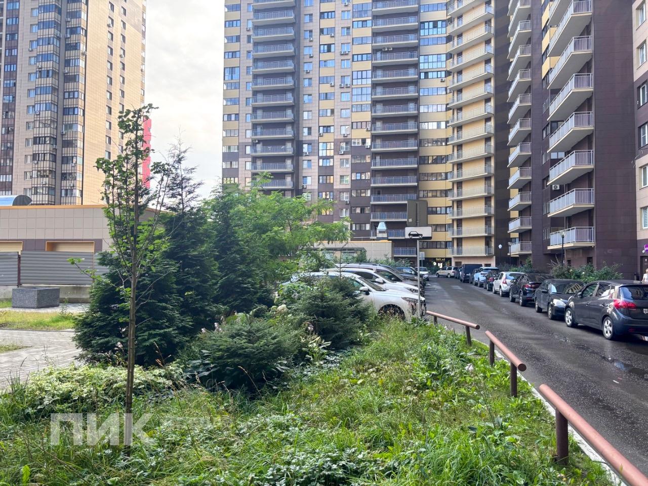 студия, 29 м², 54 900 ₽/мес — фото № 16 студия, 29 м², 54 900 ₽/мес — фото № 16