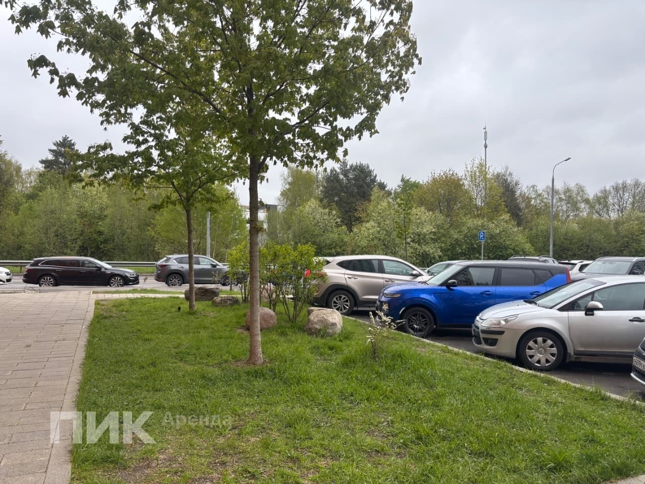 1-к. квартира, 56.9 м², 54 900 ₽/мес — фото № 16 1-к. квартира, 56.9 м², 54 900 ₽/мес — фото № 16