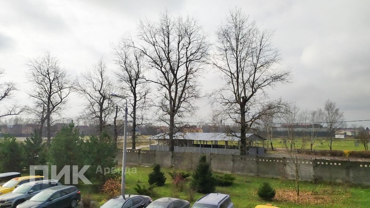 1-к. квартира, 35.9 м², 36 000 ₽/мес — фото № 20 1-к. квартира, 35.9 м², 36 000 ₽/мес — фото № 20