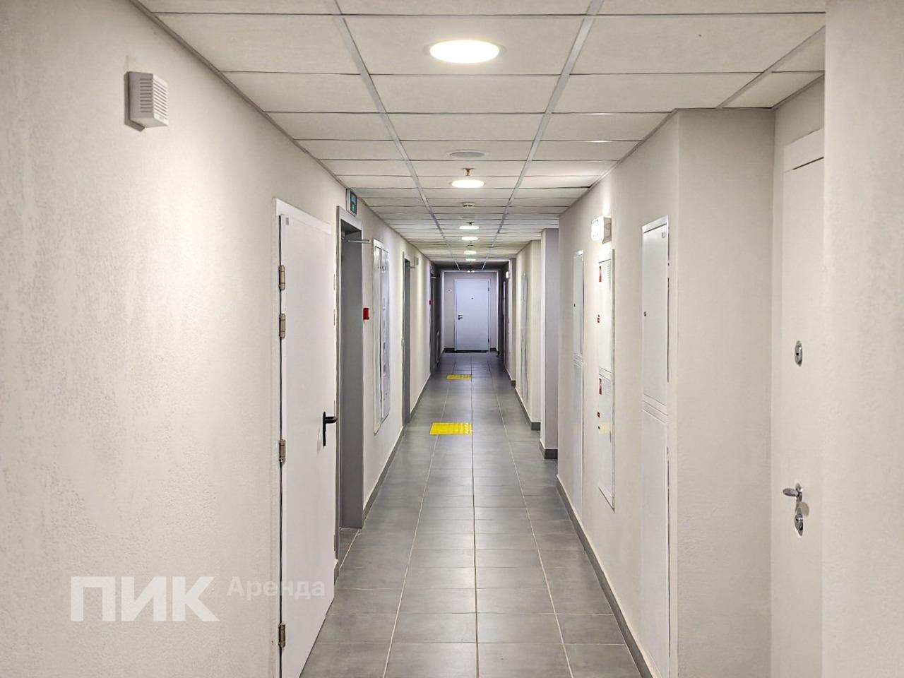 студия, 25 м², 65 500 ₽/мес — фото № 10 студия, 25 м², 65 500 ₽/мес — фото № 10