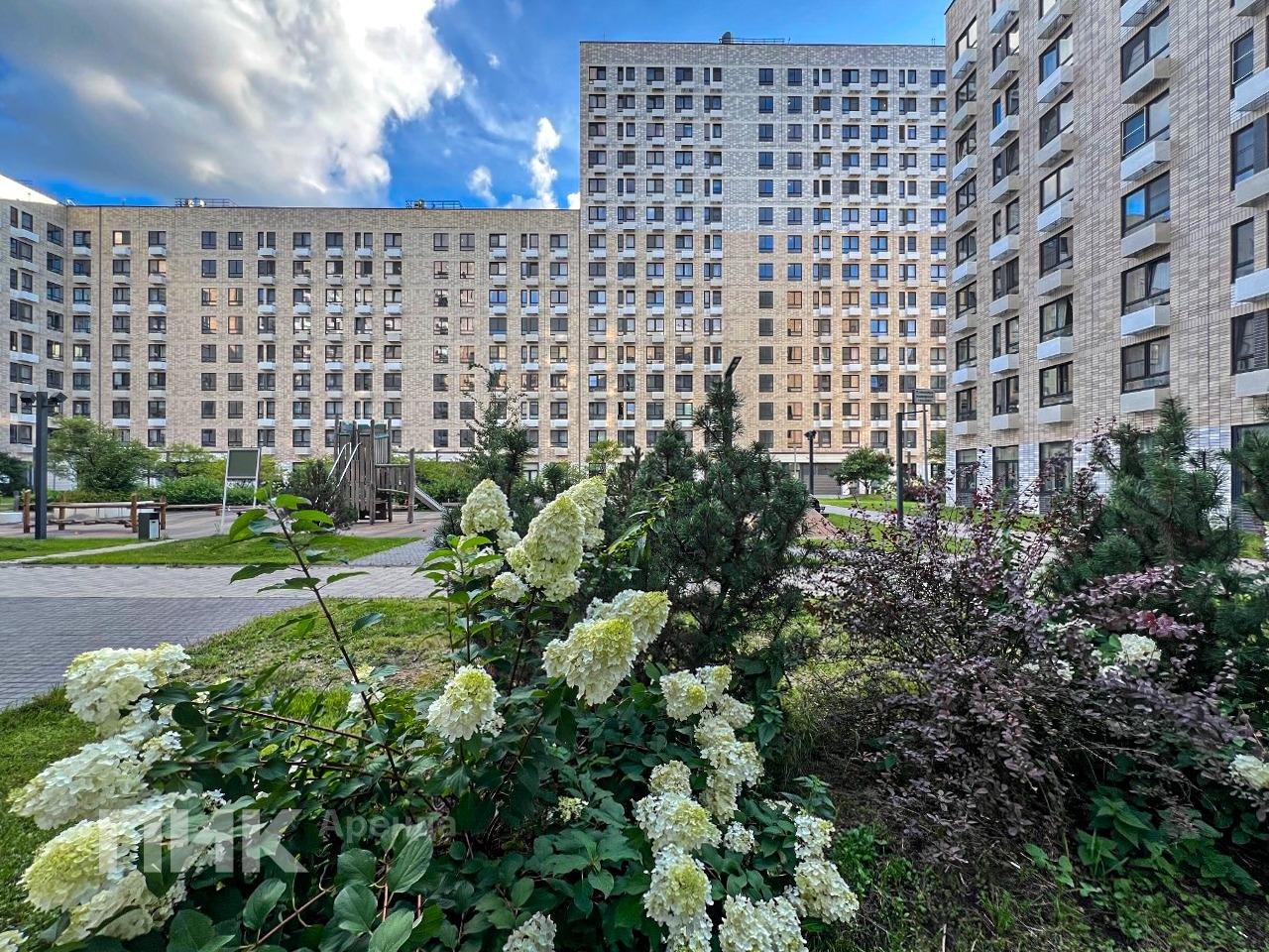 2-к. квартира, 35.1 м², 74 600 ₽/мес — фото № 14 2-к. квартира, 35.1 м², 74 600 ₽/мес — фото № 14