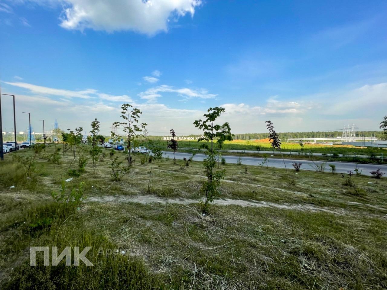 1-к. квартира, 25 м², 43 900 ₽/мес — фото № 17 1-к. квартира, 25 м², 43 900 ₽/мес — фото № 17