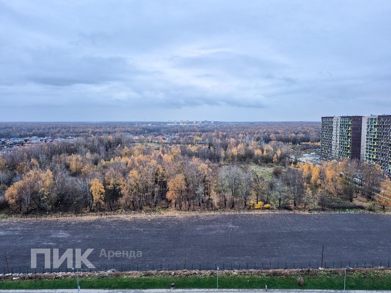 1-к. квартира, 34 м², 34 900 ₽/мес — фото № 19 1-к. квартира, 34 м², 34 900 ₽/мес — фото № 19