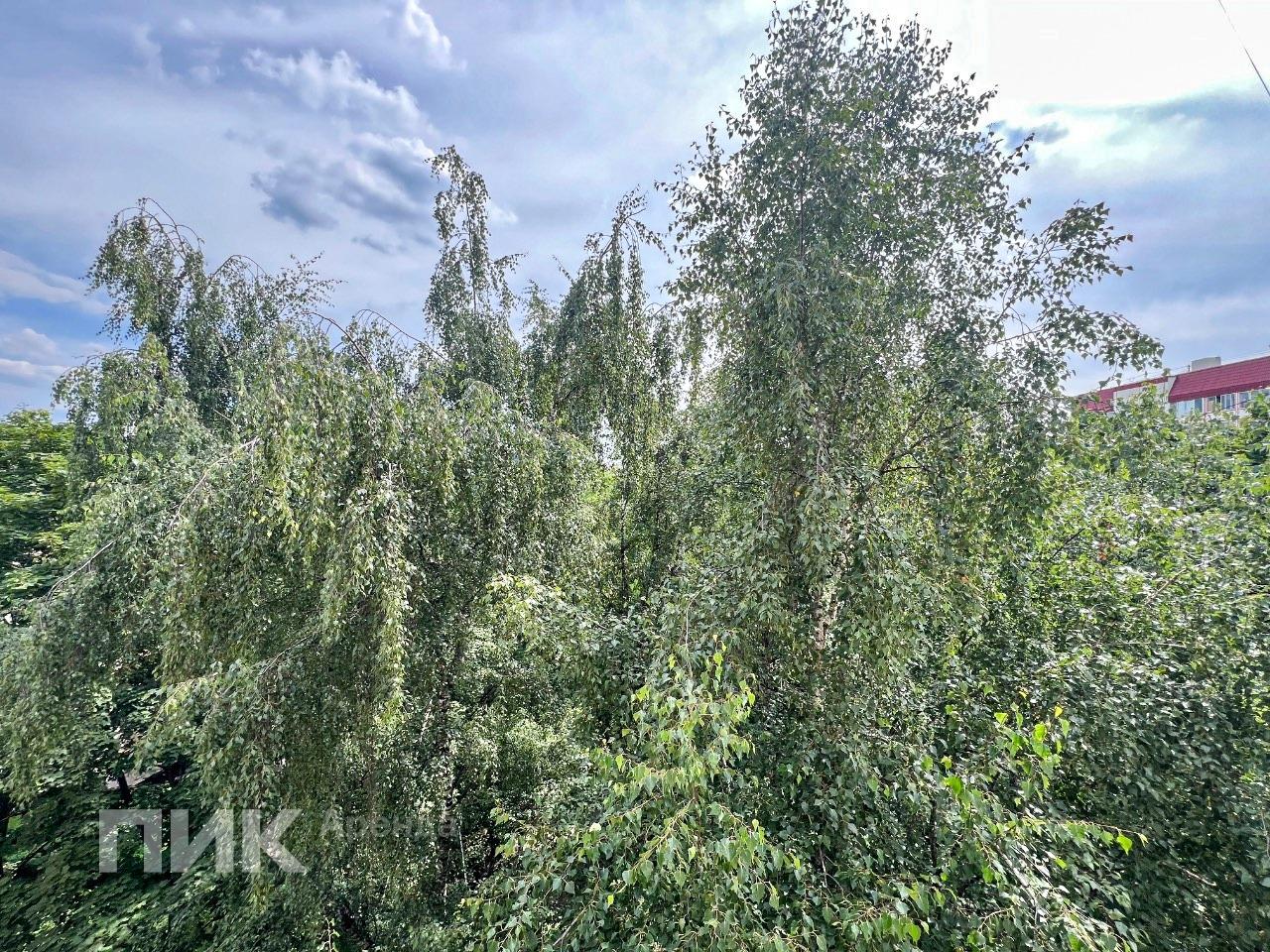 1-к. квартира, 33 м², 60 400 ₽/мес — фото № 15 1-к. квартира, 33 м², 60 400 ₽/мес — фото № 15