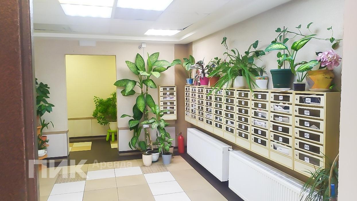 1-к. квартира, 41 м², 65 900 ₽/мес — фото № 10 1-к. квартира, 41 м², 65 900 ₽/мес — фото № 10