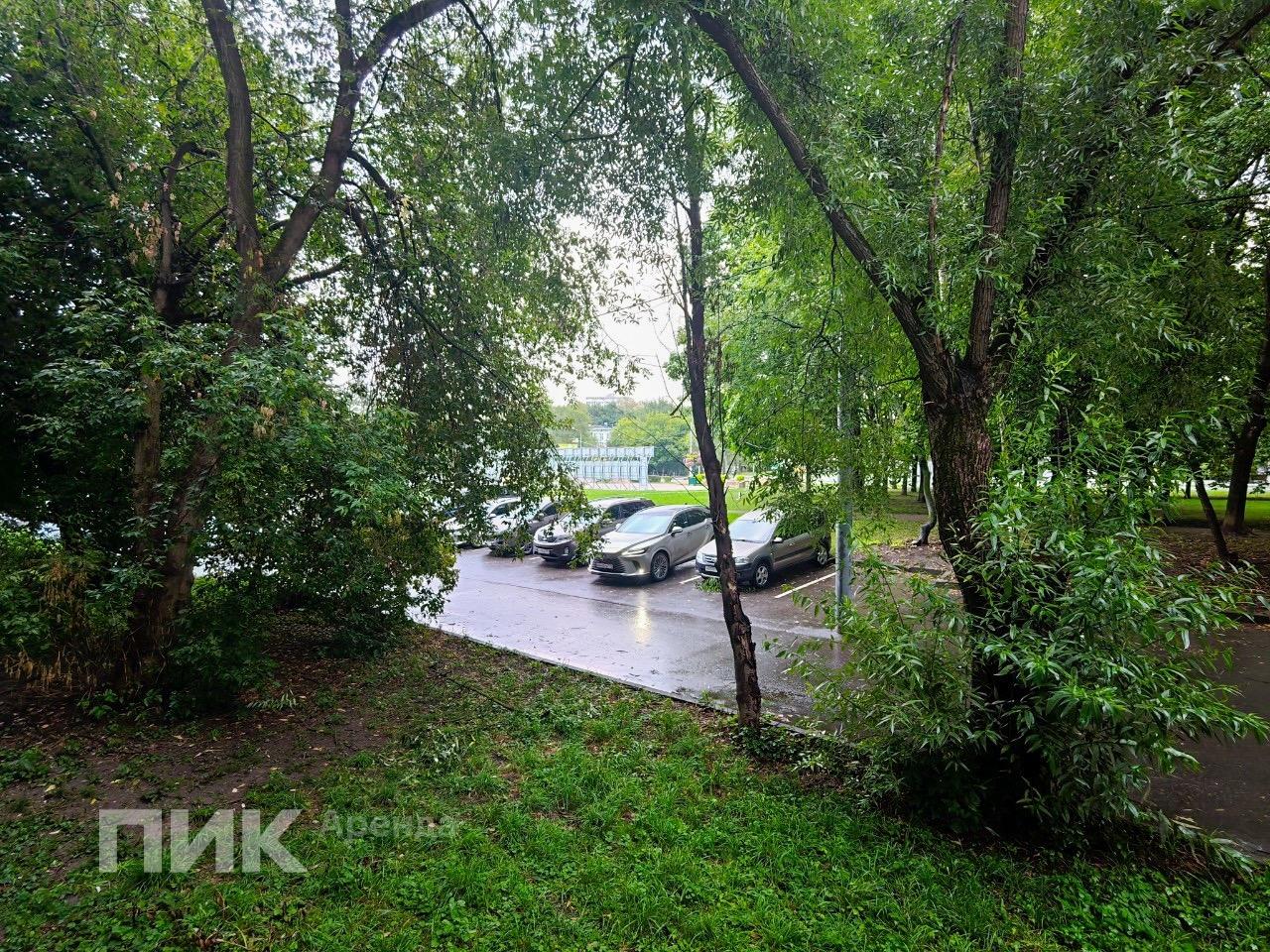 1-к. квартира, 25.5 м², 43 900 ₽/мес — фото № 13 1-к. квартира, 25.5 м², 43 900 ₽/мес — фото № 13