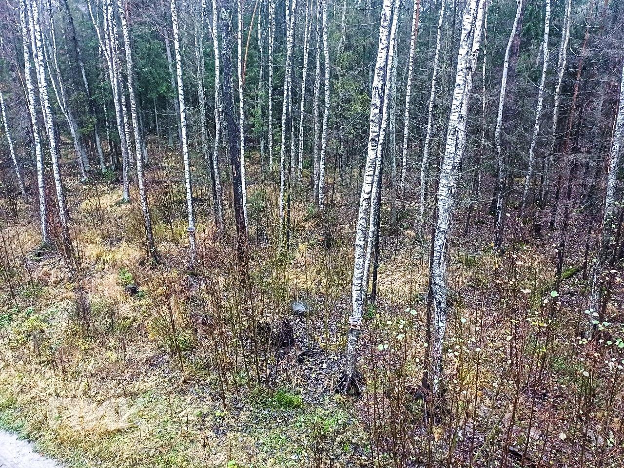 2-к. квартира, 48.1 м², 48 000 ₽/мес — фото № 21 2-к. квартира, 48.1 м², 48 000 ₽/мес — фото № 21