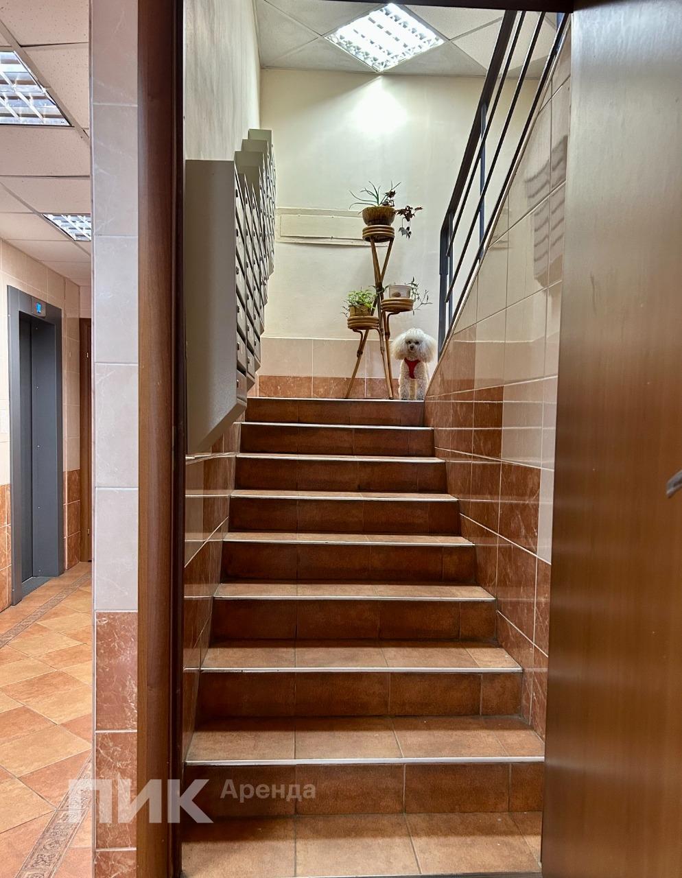 2-к. квартира, 58 м², 73 900 ₽/мес — фото № 22 2-к. квартира, 58 м², 73 900 ₽/мес — фото № 22