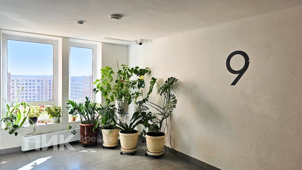 2-к. квартира, 35.7 м², 65 900 ₽/мес — фото № 10 2-к. квартира, 35.7 м², 65 900 ₽/мес — фото № 10