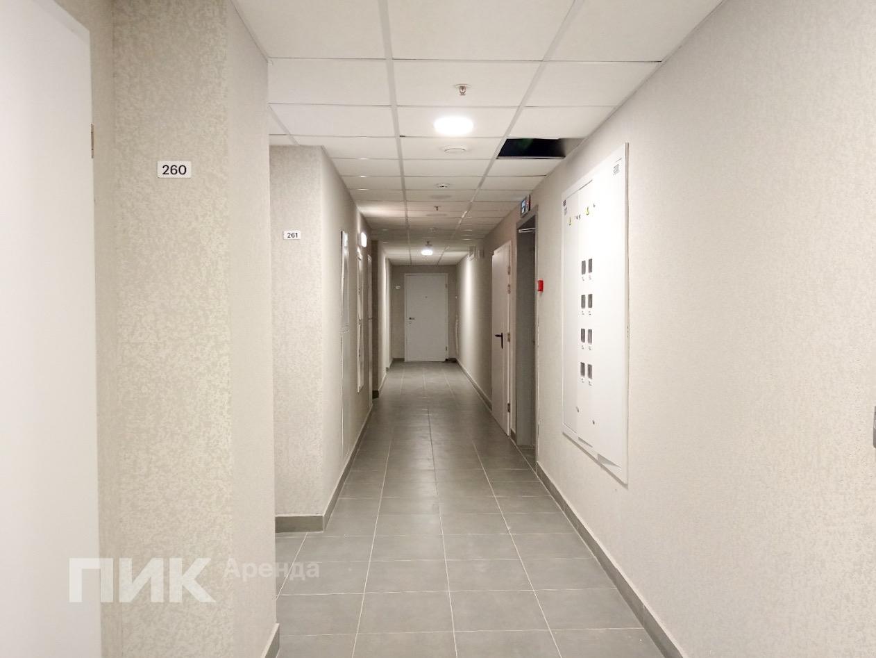 студия, 19 м², 60 400 ₽/мес — фото № 9 студия, 19 м², 60 400 ₽/мес — фото № 9