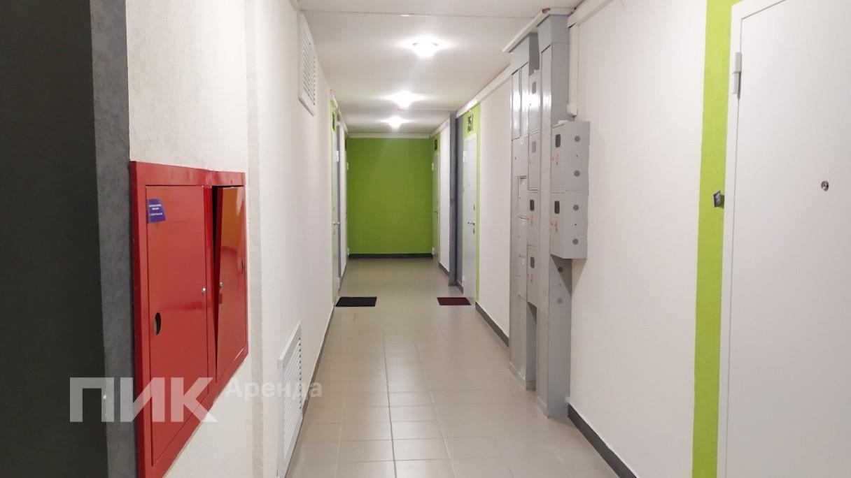 1-к. квартира, 32 м², 43 600 ₽/мес — фото № 13 1-к. квартира, 32 м², 43 600 ₽/мес — фото № 13