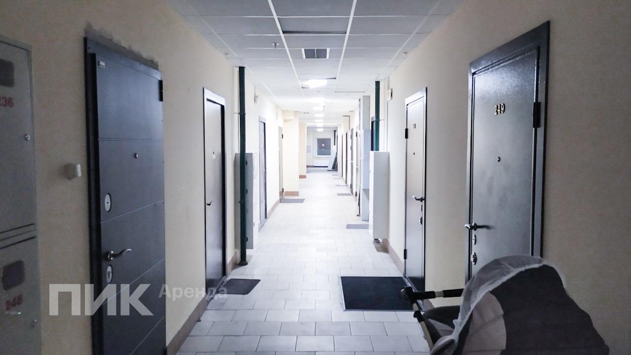 1-к. квартира, 33.7 м², 38 500 ₽/мес — фото № 9 1-к. квартира, 33.7 м², 38 500 ₽/мес — фото № 9