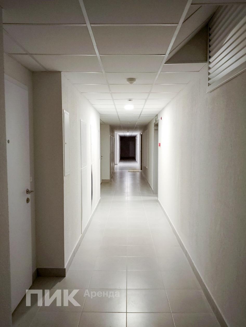 1-к. квартира, 33.6 м², 78 900 ₽/мес — фото № 15 1-к. квартира, 33.6 м², 78 900 ₽/мес — фото № 15