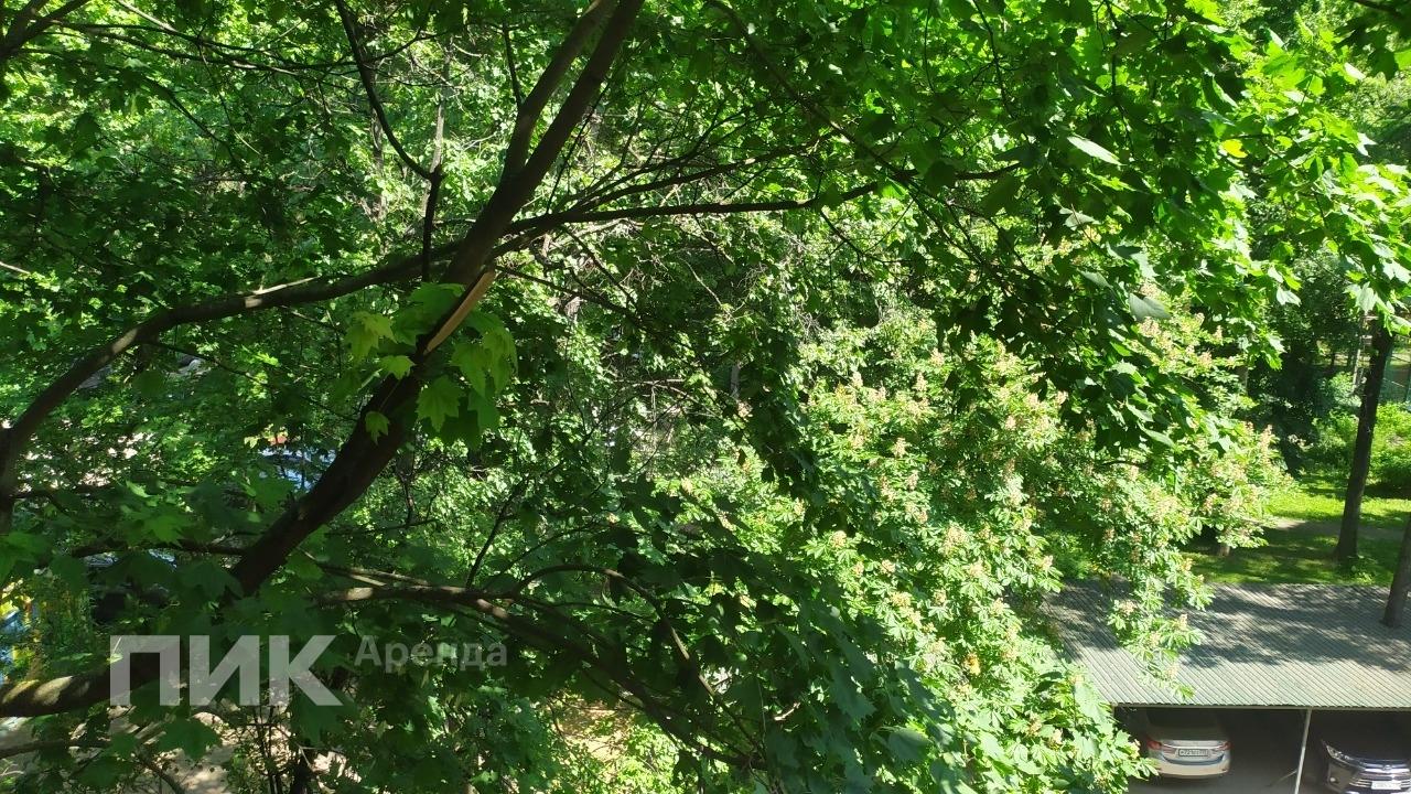 1-к. квартира, 34 м², 47 000 ₽/мес — фото № 16 1-к. квартира, 34 м², 47 000 ₽/мес — фото № 16