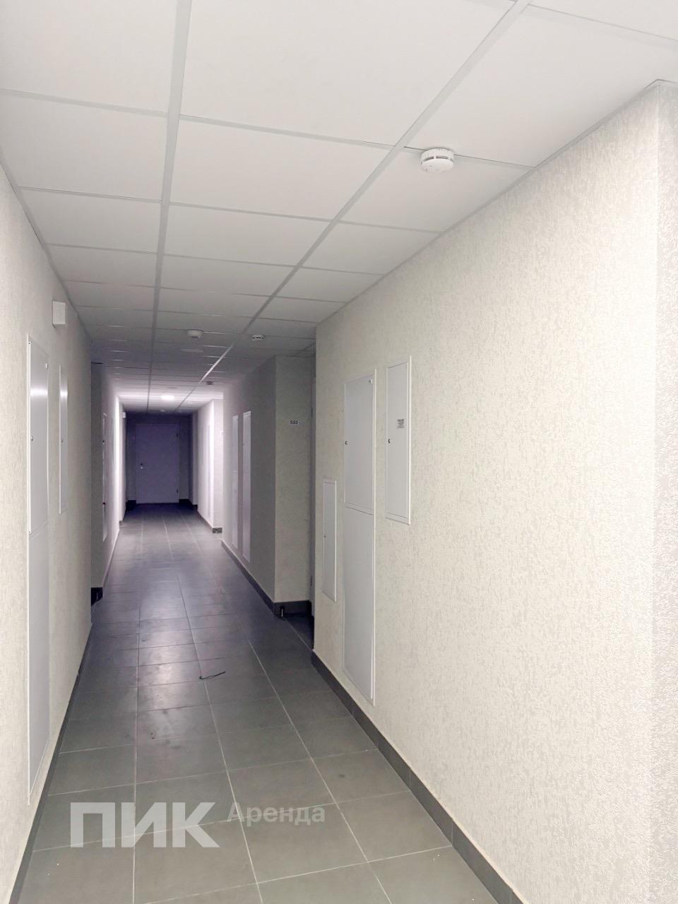 студия, 20 м², 54 900 ₽/мес — фото № 9 студия, 20 м², 54 900 ₽/мес — фото № 9