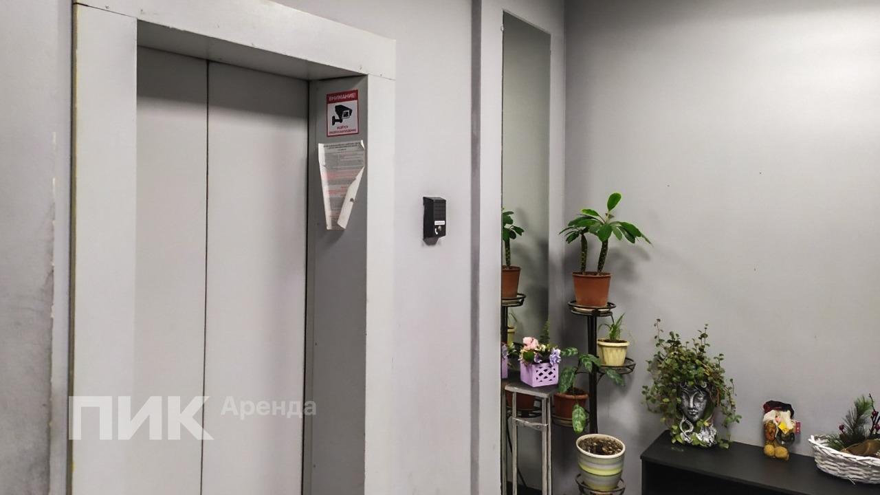 1-к. квартира, 38.5 м², 51 700 ₽/мес — фото № 12 1-к. квартира, 38.5 м², 51 700 ₽/мес — фото № 12