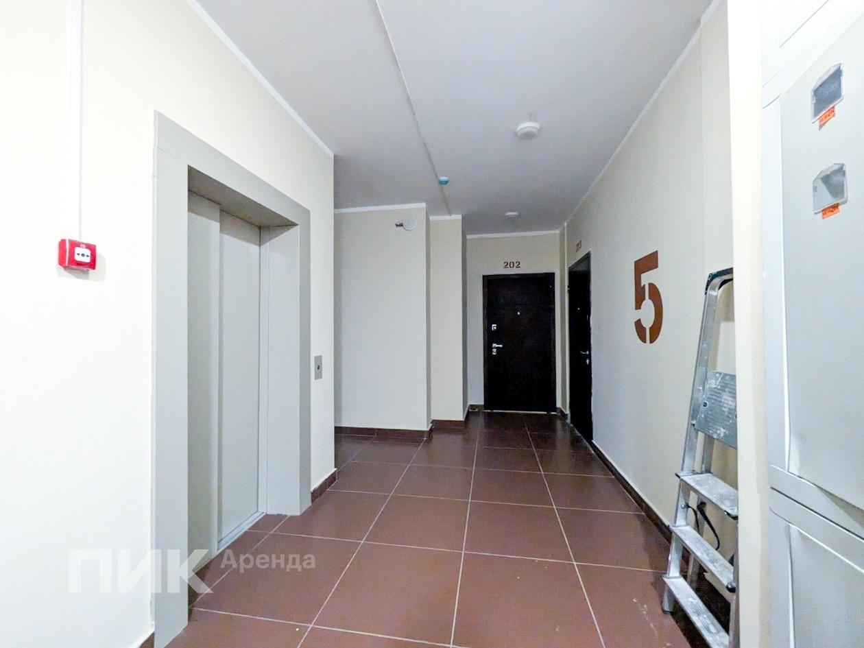 1-к. квартира, 32.5 м², 38 000 ₽/мес — фото № 16 1-к. квартира, 32.5 м², 38 000 ₽/мес — фото № 16