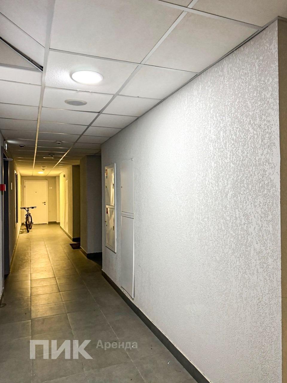 1-к. квартира, 33.3 м², 62 600 ₽/мес — фото № 12 1-к. квартира, 33.3 м², 62 600 ₽/мес — фото № 12